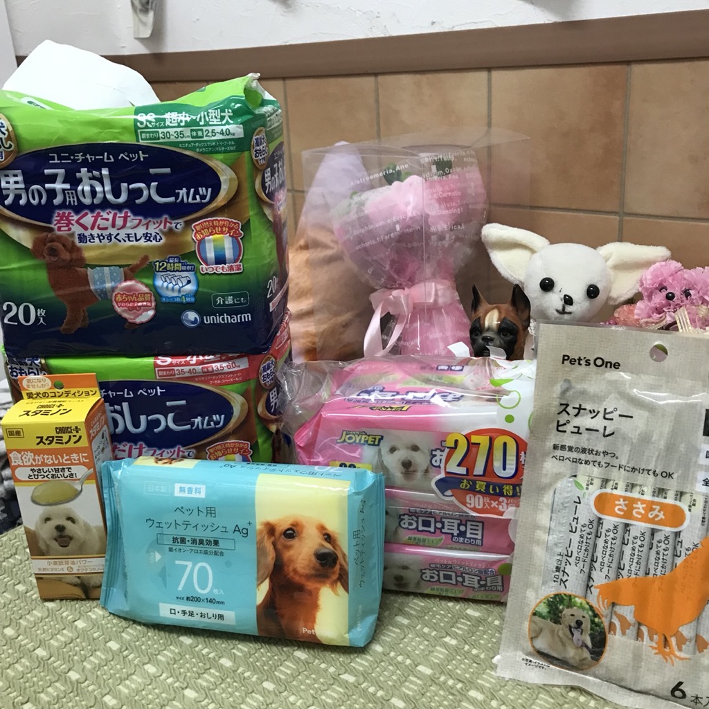 支援物資をありがとうございます😃トイプードルのせろり君💕の里親様大募集中です😃
